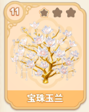 宝珠玉兰