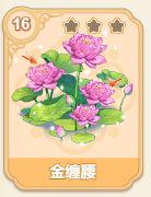 金缠腰