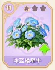 冰蓝矮牵牛