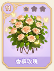 香槟玫瑰