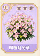 粉樱月见草