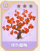 绯色腊梅
