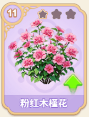 粉红木槿花