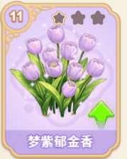 梦紫郁金香