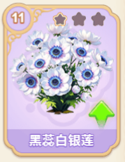 黑蕊白银莲