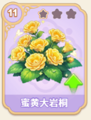 蜜黄大岩桐