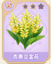 杏黄立金花