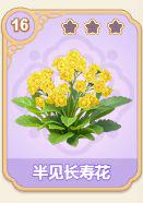 半见长寿花