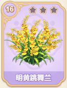 明黄跳舞兰