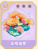 金橙海葵