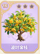 波叶金桂