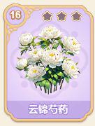 云锦芍药
