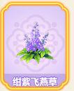 绀紫飞燕草