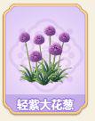 轻紫大葱花