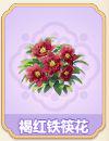 褐红铁筷花