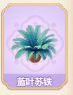 蓝叶苏铁