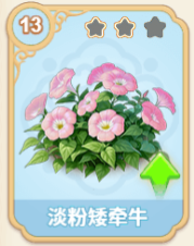 淡粉矮牵牛