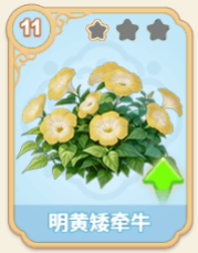 明黄矮牵牛