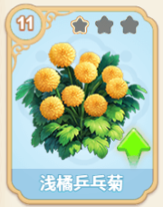 浅橘乒乓菊