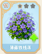 薄藤铁线莲