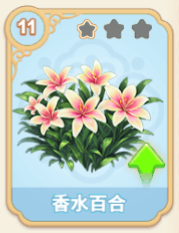 香水百合