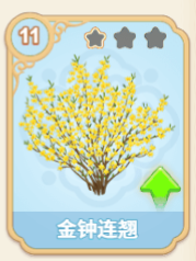 金钟连翘