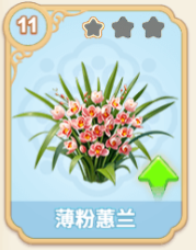 薄粉蕙兰