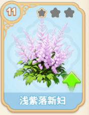 浅紫落新妇