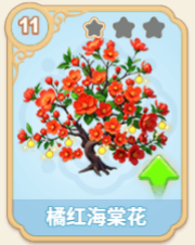 橘红海棠花