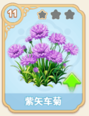紫矢车菊