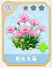 粉矢车菊