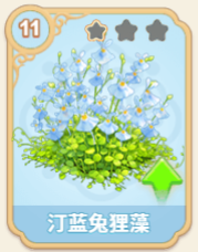 汀蓝兔狸藻