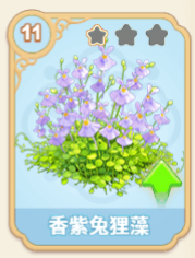 香紫兔狸藻
