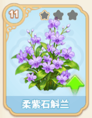 柔紫石斛兰