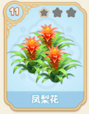 凤梨花