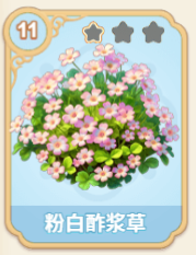 粉白酢浆草