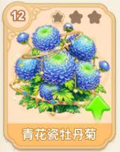 青花瓷牡丹菊