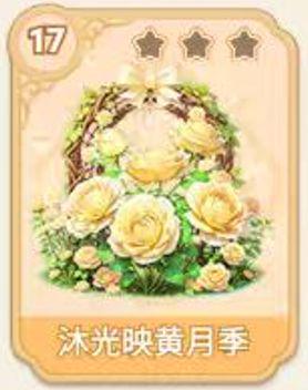 沐光映黄月季