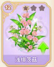 浅菲次菇