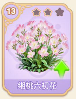 缃桃六初花