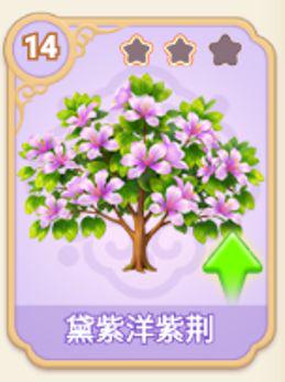 黛紫洋紫荆