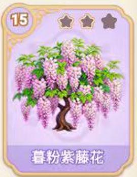 慕粉紫藤花