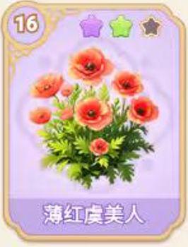 薄红虞美人