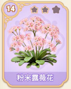 粉米露薇花