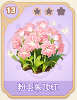粉羽朱顶红