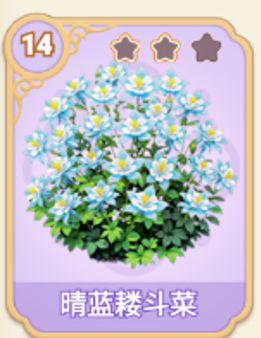 晴蓝耧斗菜