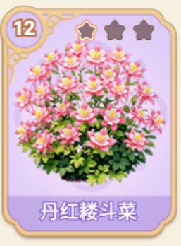 丹红耧斗菜