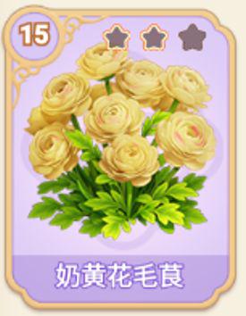 奶黄花毛茛