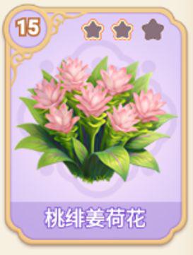 桃绯姜荷花
