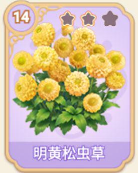 明黄松虫草